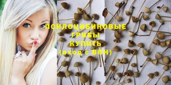 марки nbome Аркадак