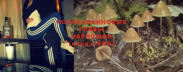 соль ск Арсеньев