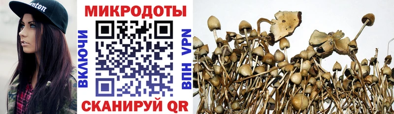 Галлюциногенные грибы Magic Shrooms  как найти закладки  Ужур 